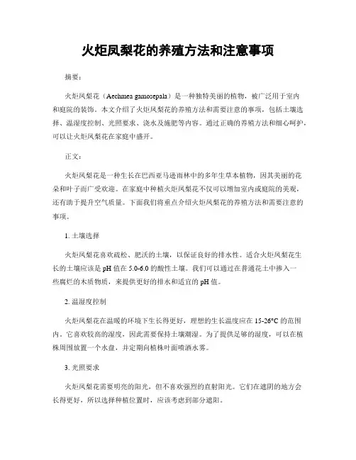火炬凤梨花的养殖方法和注意事项
