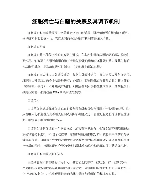 细胞凋亡与自噬的关系及其调节机制
