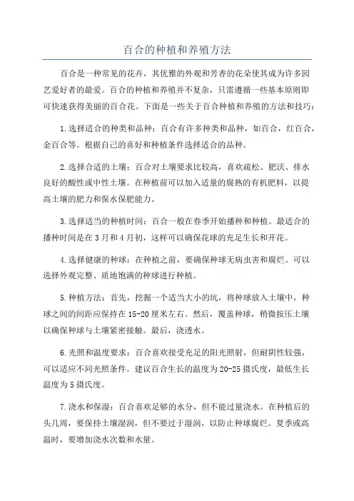 百合的种植和养殖方法