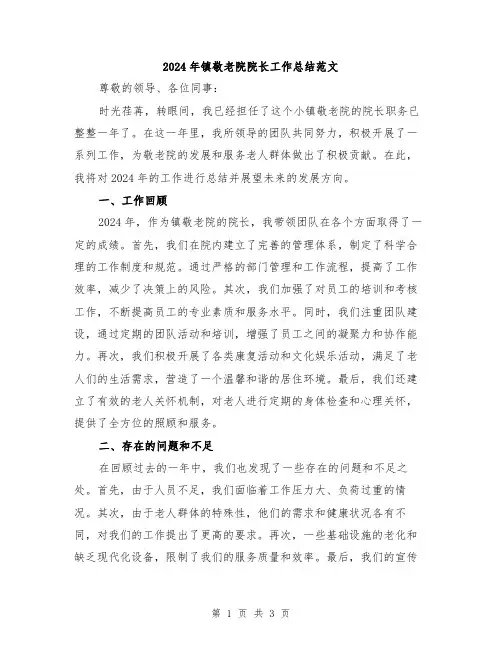 2024年镇敬老院院长工作总结范文