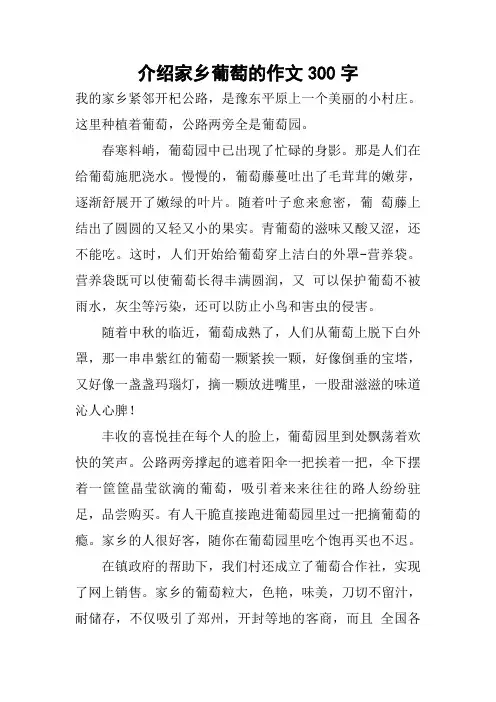 介绍家乡葡萄的作文300字