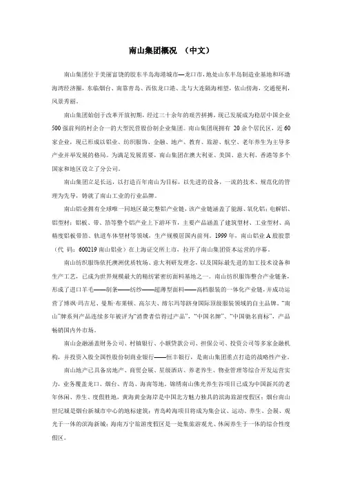 南山集团概况(中英)