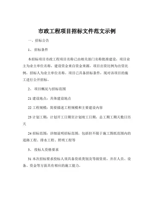 市政工程项目招标文件范文示例