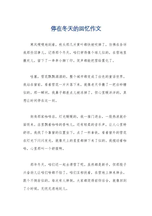 停在冬天的回忆作文