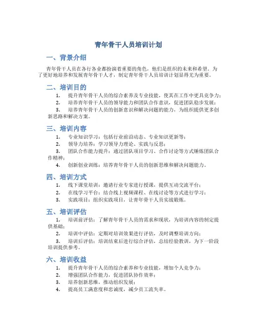 青年骨干人员培训计划