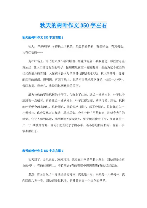 秋天的树叶作文350字左右