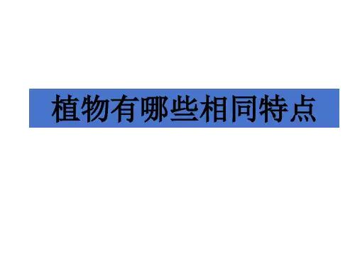 三年级科学上册 植物的有哪些共同特点课件3教科版