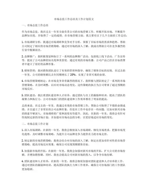 市场总监工作总结及工作计划范文