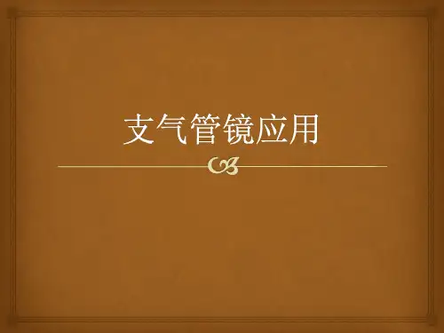 支气管镜PPT课件
