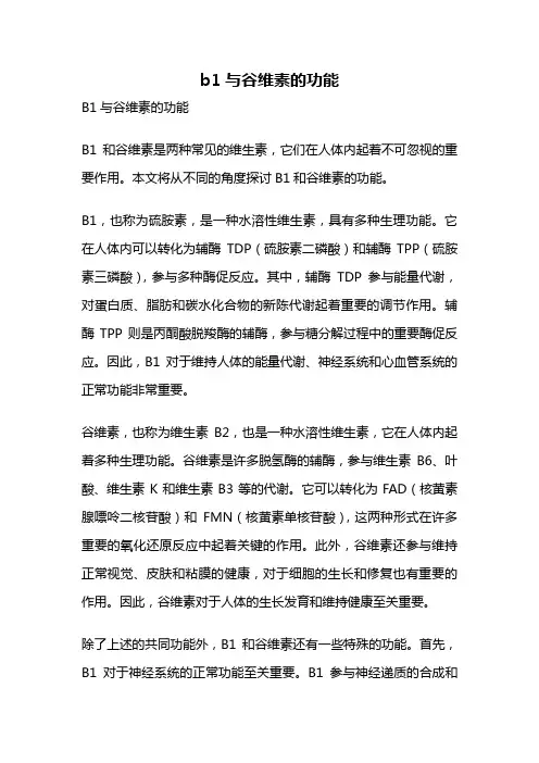b1与谷维素的功能