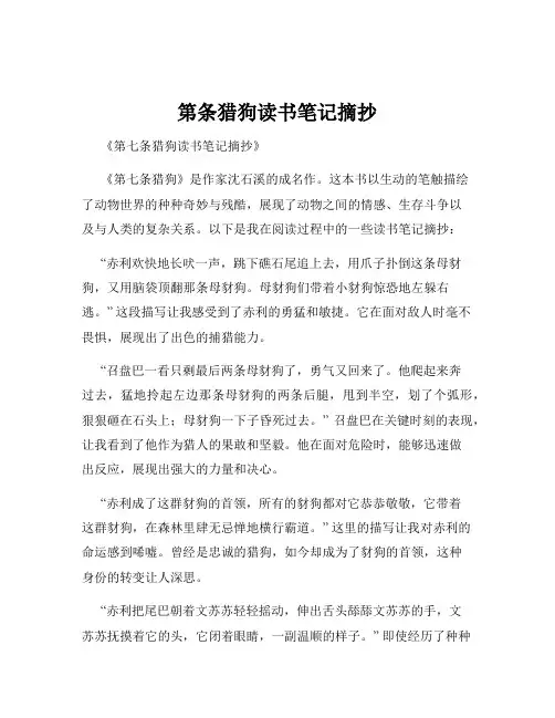 第条猎狗读书笔记摘抄