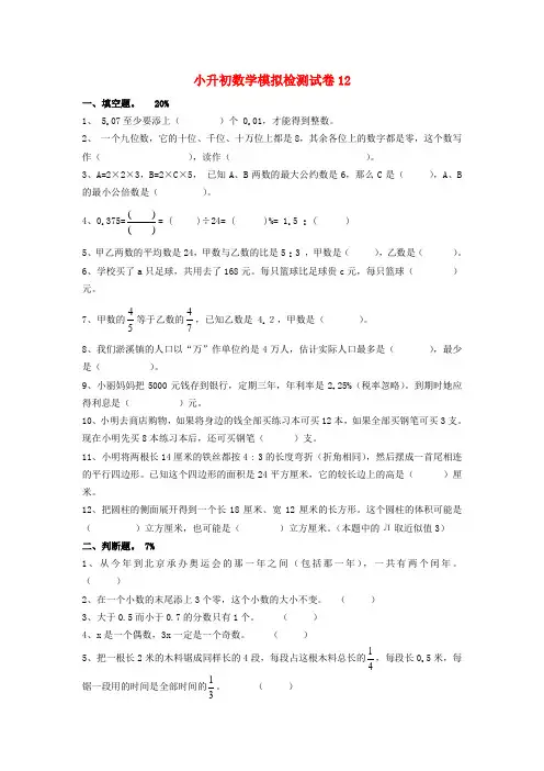 小升初数学模拟检测试卷12(无答案) 人教版
