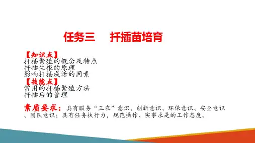 苗圃地育苗—扦插苗培育(种苗生产课件)