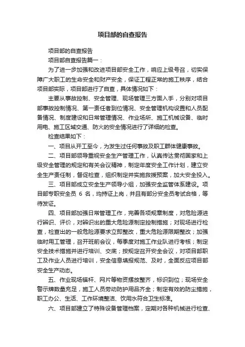 项目部的自查报告