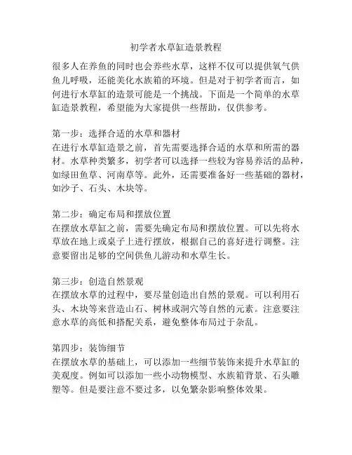 初学者水草缸造景教程