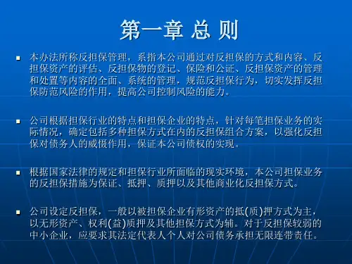反担保管理办法