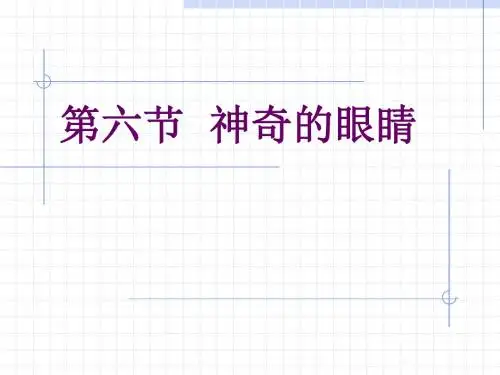 《神奇的眼睛》ppt1