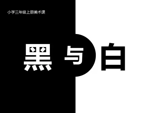 《黑与白》PPT课件