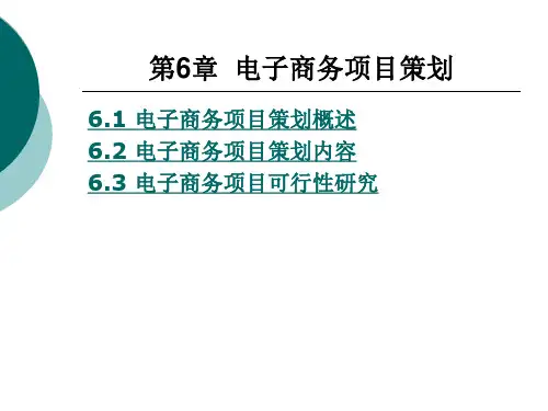 第6章电子商务项目策划精品PPT课件