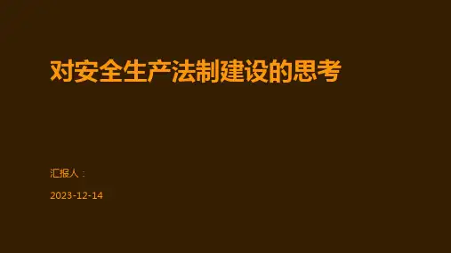 对安全生产法制建设的思考