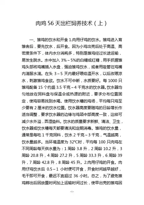 肉鸡56天出栏饲养技术(上)