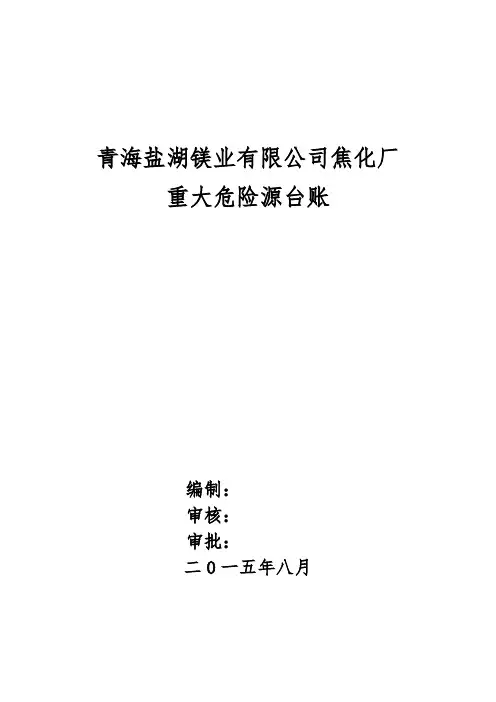 青海盐湖镁业公司重大危险源台账