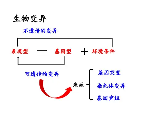 期中考试复习必修二