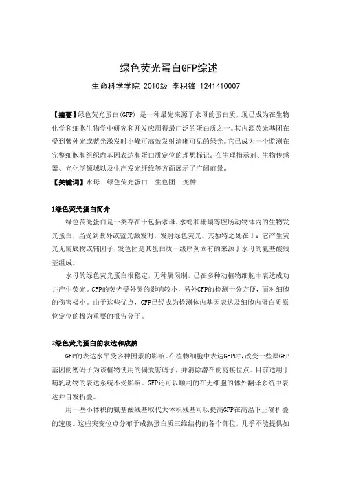 绿色荧光蛋白GFP