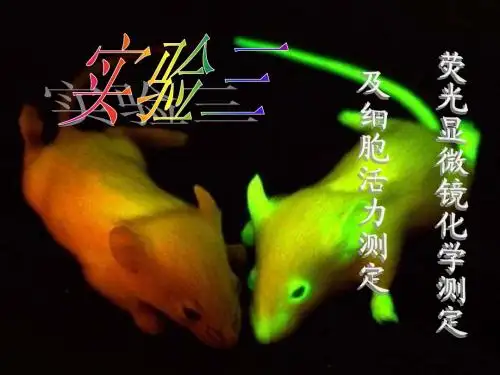 实验三  荧光显微镜化学测定和细胞活性测定
