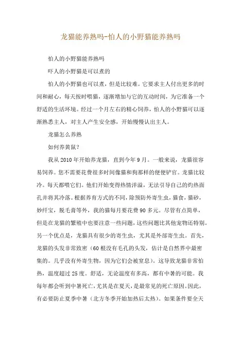 龙猫能养熟吗-怕人的小野猫能养熟吗