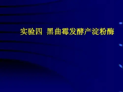 2012-黑曲霉发酵产淀粉酶-发酵罐的使用