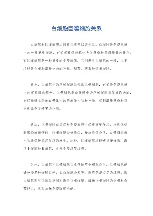 白细胞巨噬细胞关系