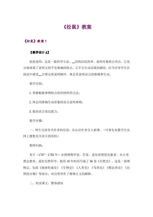 《松鼠》教案