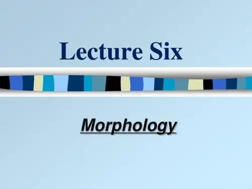 Lecture Six