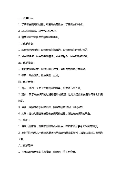 幼儿园大班《蜘蛛织网》教案
