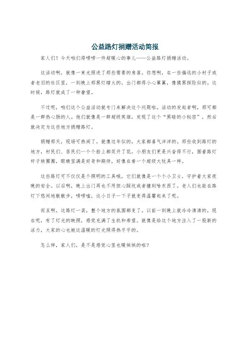 公益路灯捐赠活动简报