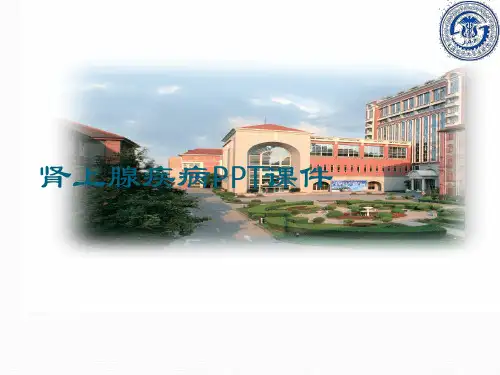 肾上腺疾病PPT课件