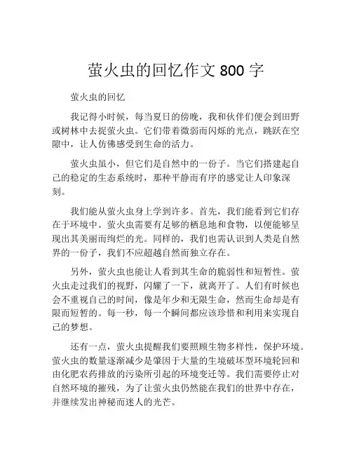 萤火虫的回忆作文800字