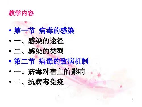 病毒的致病性PowerPoint演示文稿