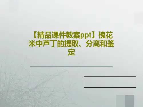 【精品课件教案ppt】槐花米中芦丁的提取、分离和鉴定PPT文档16页