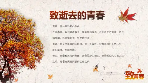 怀旧温馨同学会相册纪念册同学录友谊同学聚会青春毕业季讲课PPT演示课件