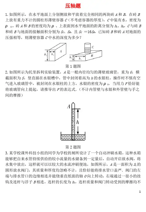 天津市中考物理 重点题型补充题库 压轴题