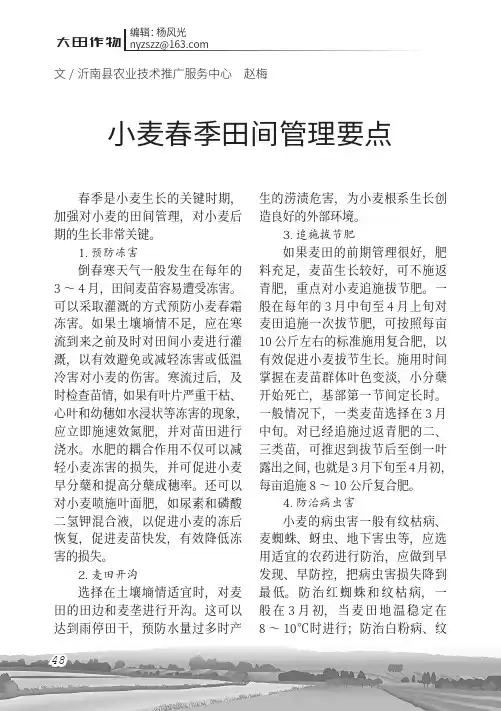 小麦春季田间管理要点