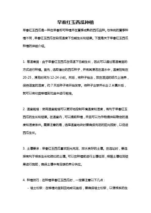 早春红玉西瓜种植
