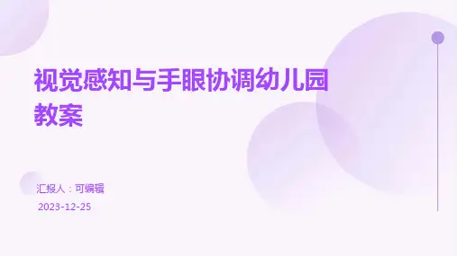 视觉感知与手眼协调幼儿园教案
