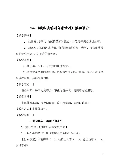 14《我应该感到自豪才对》教案