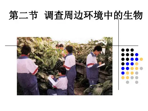 调查周边环境中的生物ppt课件