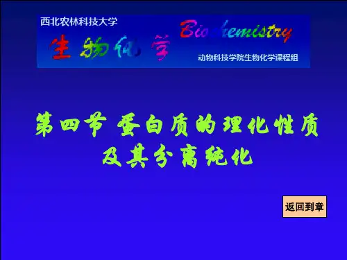 蛋白质的理化性质与分离纯化