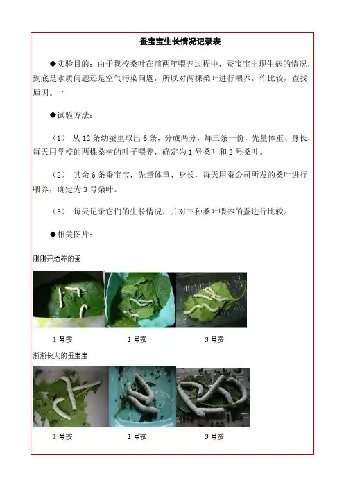 蚕的生长变化记录表