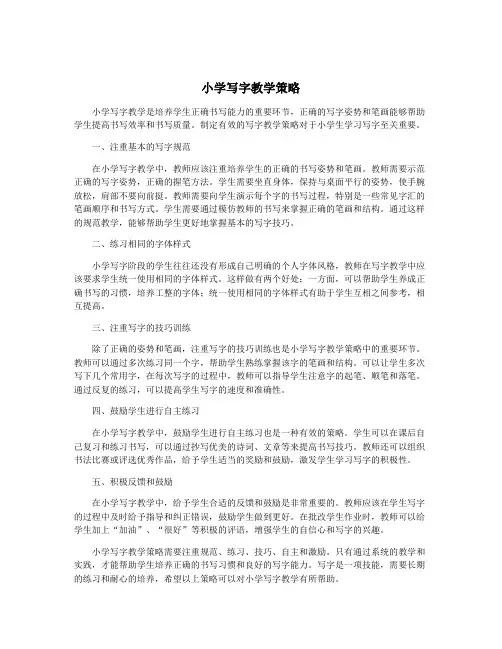 小学写字教学策略